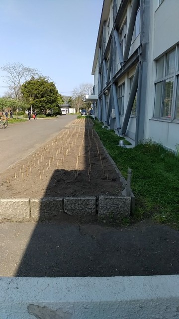 苗植えを待つ学校花壇